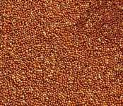 Просо, тип від світло-червоного до темно-червоного (ІІІ), 3 клас, 1 кг